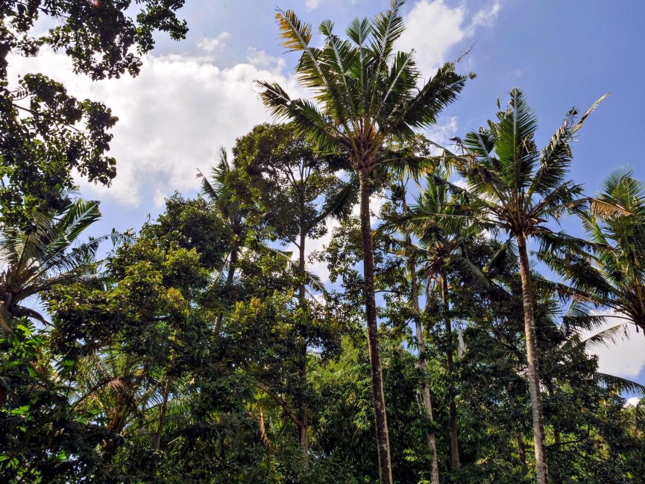 Gunung An Retreat Ubud Exterior foto